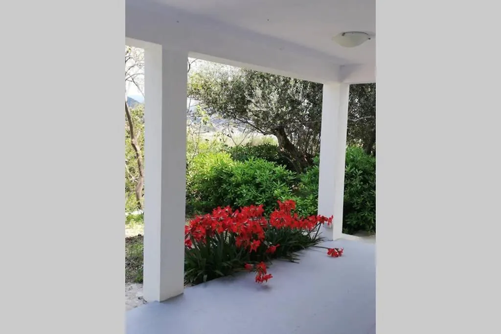 Ribaric Villa Banjol 0*,  Croatia